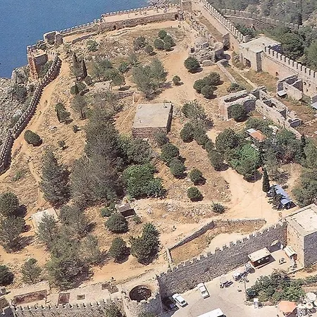 Vila Alona *